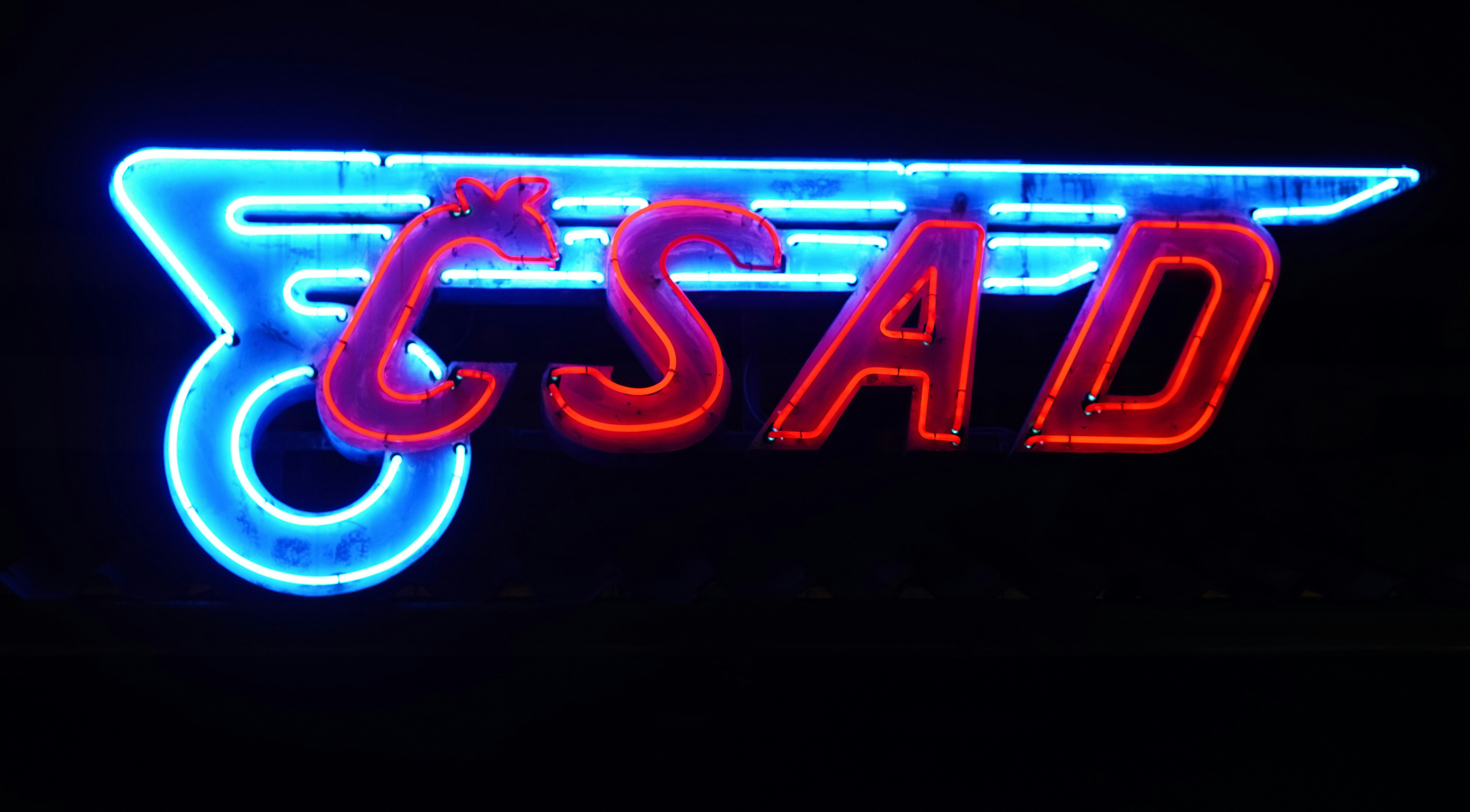 spa special offers VA neon sign